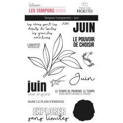 Tampons clear - Juin