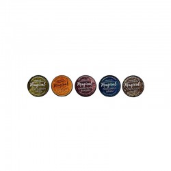 LOT DE 5 PIGMENTS EN POUDRE...