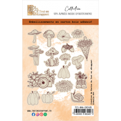 EMBELLISSEMENTS EN CB...
