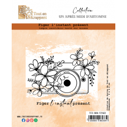 FIGER L'INSTANT PRESENT