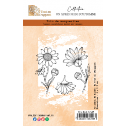 TRIO DE MARGUERITE