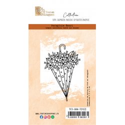 PARAPLUIE PLEURI