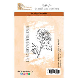LE CHRYSANTHEME