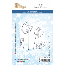 LE CYCLAMEN