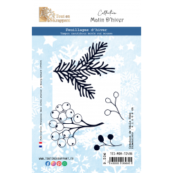 FEUILLAGES D'HIVER