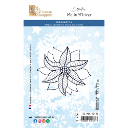POINSETTIA