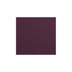 PAPIER PRUNE PPA