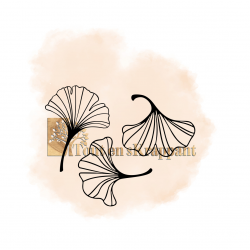 TRIO DE GINKGO