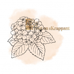 HORTENSIA