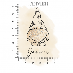 GNOME JANVIER