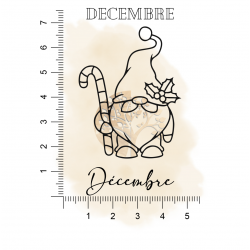 GNOME DECEMBRE