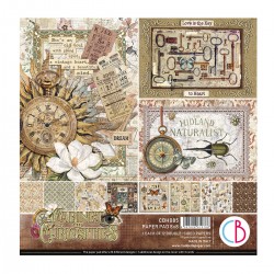 CABINET DE CURIOSITES 12...