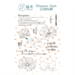 Tampons clear Scropines -...