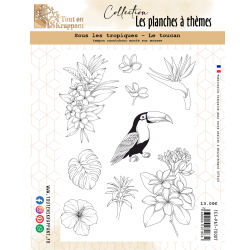 SOUS LES TROPIQUES - LE TOUCAN