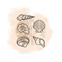 LES COQUILLAGES