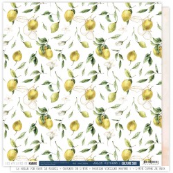 Culture sud "Jolis citrons"