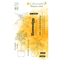 Tampons clear Citronnier -...