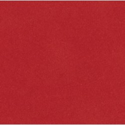 SUEDEEN CORAIL