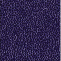 SK VIOLET FONCE