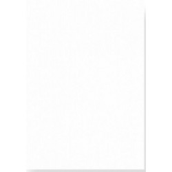 100 cardstock A4 lisse blanc