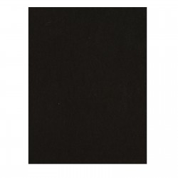 100 cardstock A4 lisse noir